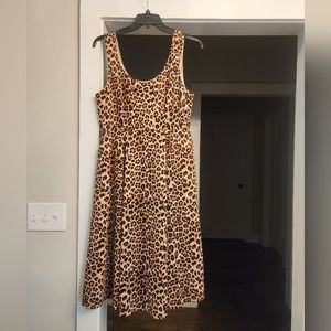 Women's Plus Skater Dress